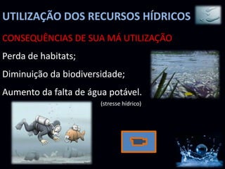 UTILIZAÇÃO DOS RECURSOS HÍDRICOS
Perda de habitats;
Diminuição da biodiversidade;
Aumento da falta de água potável.
(stresse hídrico)
CONSEQUÊNCIAS DE SUA MÁ UTILIZAÇÃO
 