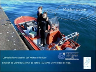 Muchas gracias!
Cofradía de Pescadores San Martiño de Bueu
Estación de Ciencias Mariñas de Toralla (ECIMAT). Universidad de Vigo.
 