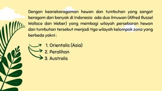 Dengan keanekaragaman hewan dan tumbuhan yang sangat
beragam dan banyak di Indonesia ada dua ilmuwan (Alfred Russel
Wallace dan Weber) yang membagi wilayah persebaran hewan
dan tumbuhan tersebut menjadi tiga wilayah kelompok zona yang
berbeda yakni :
Orientalis (Asia)
Peralihan
Australis
1.
2.
3.
 