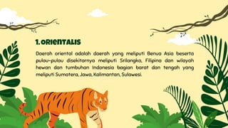 Daerah oriental adalah daerah yang meliputi Benua Asia beserta
pulau-pulau disekitarnya meliputi Srilangka, Filipina dan wilayah
hewan dan tumbuhan Indonesia bagian barat dan tengah yang
meliputi Sumatera, Jawa, Kalimantan, Sulawesi.
Orientalis
1.
 