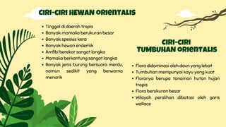 Tinggal di daerah tropis
Banyak mamalia berukuran besar
Banyak spesies kera
Banyak hewan endemik
Amfibi berekor sangat langka
Mamalia berkantung sangat langka
Banyak jenis burung bersuara merdu,
namun sedikit yang berwarna
menarik
Ciri-ciri HEWAN orientalis
Flora didominasi oleh daun yang lebat
Tumbuhan mempunyai kayu yang kuat
Floranya berupa tanaman hutan hujan
tropis
Flora berukuran besar
Wilayah peralihan dibatasi oleh garis
wallace
Ciri-ciri
TUMBUHAN orientalis
 