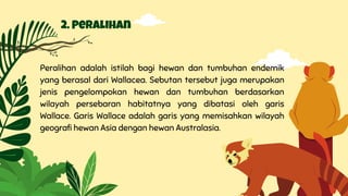2. Peralihan
Peralihan adalah istilah bagi hewan dan tumbuhan endemik
yang berasal dari Wallacea. Sebutan tersebut juga merupakan
jenis pengelompokan hewan dan tumbuhan berdasarkan
wilayah persebaran habitatnya yang dibatasi oleh garis
Wallace. Garis Wallace adalah garis yang memisahkan wilayah
geografi hewan Asia dengan hewan Australasia.
 