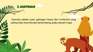 3. Australis
Australis adalah suatu golongan hewan dan tumbuhan yang
asalnya dari Australia dan berkembang pada wilayah tropis.
 