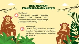 Nilai Biologis
Dibutuhkan sebagai penunjang
kehidupan bagi makhluk hidup.
Tumbuhan menghasilkan oksigen sebagai
pernafasan makhluk hidup
NILAI MANFAAT
KEANEKARAGAMAN HAYATI
Nilai Ekologis
Untuk menpertahankan kelestarian
ekosistem. Keberadaan terumbu karang
mendukung keberlangsungan hidup ikan
dan hewan air.
 