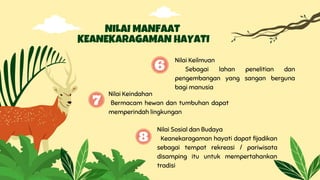NILAI MANFAAT
KEANEKARAGAMAN HAYATI
Nilai Keilmuan
Sebagai lahan penelitian dan
pengembangan yang sangan berguna
bagi manusia
Nilai Keindahan
Bermacam hewan dan tumbuhan dapat
memperindah lingkungan
Nilai Sosial dan Budaya
Keanekaragaman hayati dapat fijadikan
sebagai tempat rekreasi / pariwisata
disamping itu untuk mempertahankan
tradisi
 