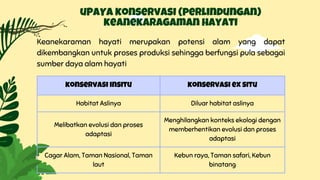 konservasi insitu konservasi ex situ
Habitat Aslinya Diluar habitat aslinya
Melibatkan evolusi dan proses
adaptasi
Menghilangkan konteks ekologi dengan
memberhentikan evolusi dan proses
adaptasi
Cagar Alam, Taman Nasional, Taman
laut
Kebun raya, Taman safari, Kebun
binatang
uPAYA konservasi (perlindungan)
keanekaragaman hayati
Keanekaraman hayati merupakan potensi alam yang dapat
dikembangkan untuk proses produksi sehingga berfungsi pula sebagai
sumber daya alam hayati
 