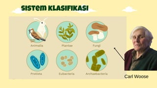 sistem klasifikasi
Carl Woose
 