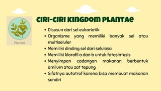 Disusun dari sel eukariotik
Organisme yang memiliki banyak sel atau
multiseluler
Memiliki dinding sel dari selulosa
Memiliki klorofil a dan b untuk fotosintesis
Menyimpan cadangan makanan berbentuk
amilum atau zat tepung
Sifatnya autotrof karena bisa membuat makanan
sendiri
ciri-ciri kingdom plantae
 