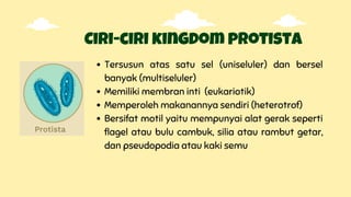 Ciri-ciri kingdom protista
Tersusun atas satu sel (uniseluler) dan bersel
banyak (multiseluler)
Memiliki membran inti (eukariotik)
Memperoleh makanannya sendiri (heterotrof)
Bersifat motil yaitu mempunyai alat gerak seperti
flagel atau bulu cambuk, silia atau rambut getar,
dan pseudopodia atau kaki semu
 