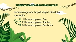 Keanekaragaman hayati dapat dibedakan
menjadi 3
Keanekaragaman Gen
Keanekaragaman Spesies
Keanekaragaman Ekosistem
1.
2.
3.
TINGKAT KEANEKARAGAMAN HAYATI
 
