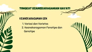 TINGKAT KEANEKARAGAMAN HAYATI
Keanekaragaman Gen
Variasi dan Varietas
Keanekaragaman Fenotipe dan
Genotipe
1.
2.
 