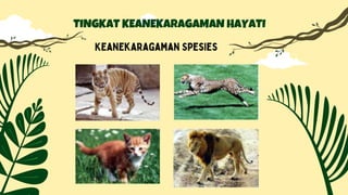 TINGKAT KEANEKARAGAMAN HAYATI
Keanekaragaman Spesies
 