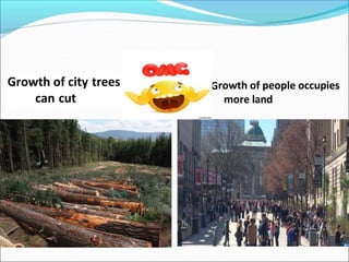 Growth of city trees
can cut
Growth of people occupies
more land
 