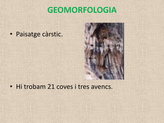 GEOMORFOLOGIA

• Paisatge càrstic.




• Hi trobam 21 coves i tres avencs.
 