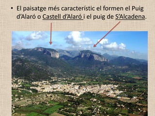 • El paisatge més característic el formen el Puig
  d’Alaró o Castell d’Alaró i el puig de S’Alcadena.
 