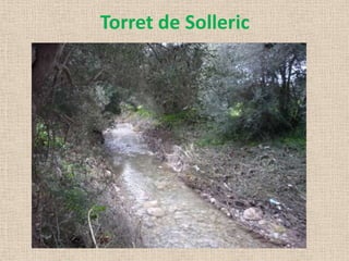 Torret de Solleric
 