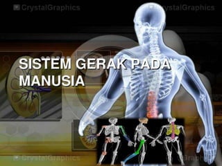 Ppt alat gerak tik