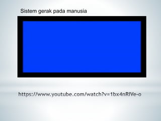 Sistem gerak pada manusia
 