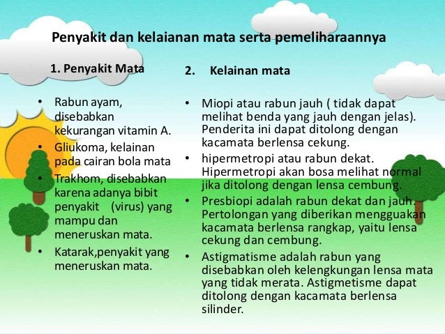 Ppt Alat Indera Pada Manusia