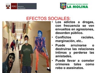 Ppt alcohol y drogas ii