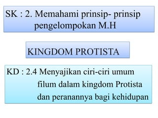 SK : 2. Memahami prinsip- prinsip
        pengelompokan M.H



KD : 2.4 Menyajikan ciri-ciri umum
        filum dalam kingdom Protista
        dan peranannya bagi kehidupan
 