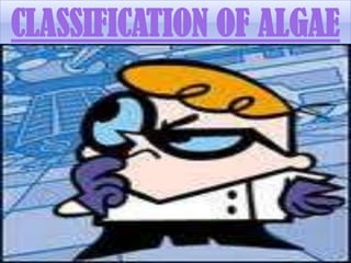 CLASSIFICATION OF ALGAE
 