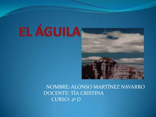 EL ÁGUILA          NOMBRE: ALONSO MARTÍNEZ NAVARRO        DOCENTE: TÍA CRISTINA              CURSO: 2º D 