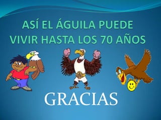    El águila es bípedo.