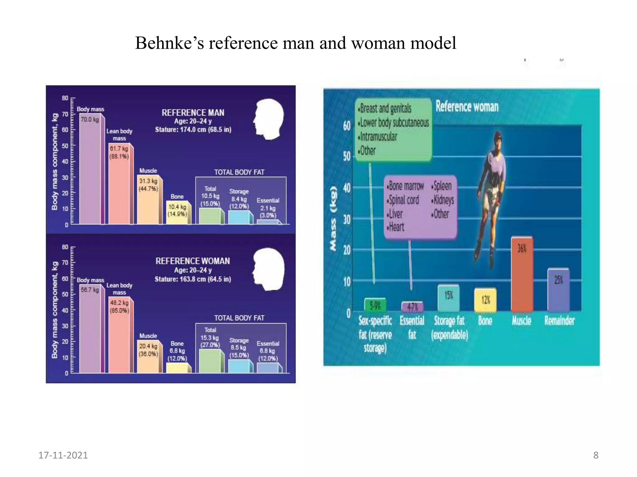 Behnke’s reference man and woman model
17-11-2021 8
 