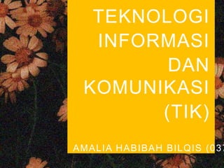 TEKNOLOGI
INFORMASI
DAN
KOMUNIKASI
(TIK)
AMALIA HABIBAH BILQIS (037
 