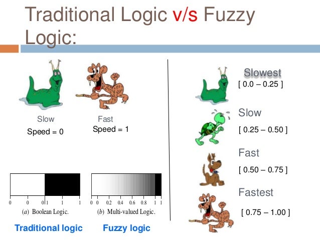 Term paper on fuzzy logic