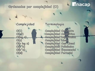 complejidad algoritmos 