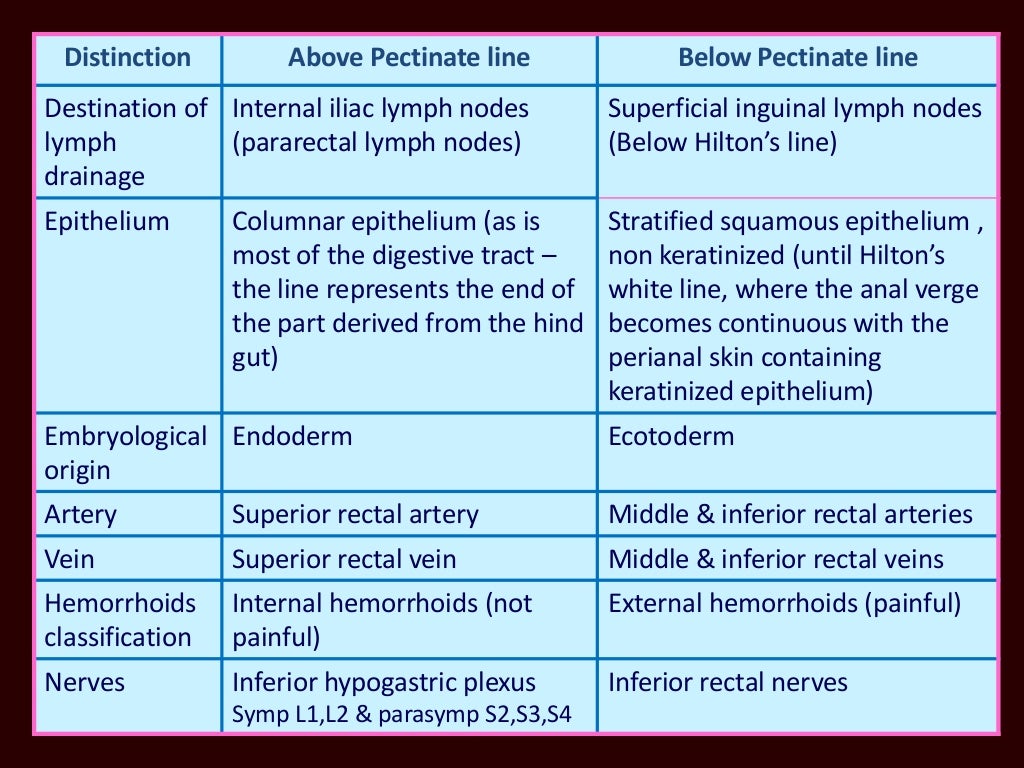 Anatomy of anal canal