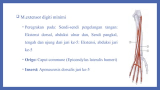 Caput Commune PPT Anatomi.pptxkpkkh[uyvph'[bn['n'i8b9ik, | PPTX