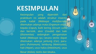 PENGERTIAN DAN CIRI CIRI ANATOMI HEWAN REPTIL .pptx