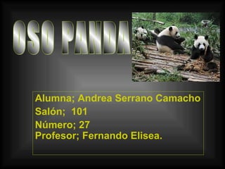 Alumna; Andrea Serrano Camacho
Salón; 101
Número; 27
Profesor; Fernando Elisea.
 