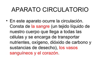 APARATO CIRCULATORIO En este aparato ocurre la circulación. Consta de  la sangre  (un tejido líquido de nuestro cuerpo que llega a todas las células y se encarga de transportar nutrientes, oxígeno, dióxido de carbono y sustancias de desecho),  los vasos sanguíneos y el corazón. 