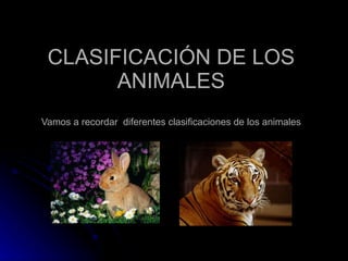 CLASIFICACIÓN DE LOS ANIMALES Vamos a recordar  diferentes clasificaciones de los animales 