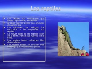 Los reptiles son vertebrados que tienen la piel seca y escamosa. Al igual que los peces son animales de sangre fría. Los caimanes, las tortugas, los cocodrilos y las serpientes son reptiles. La mayor parte de los reptiles viven en la tierra. Ponen sus huevos  en la tierra. Los reptiles tienen pulmones bien desarrollados. Los reptiles tienen  el corazón mas complejo que los anfibios y peces. 