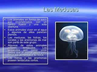 Las Medusas Los animales en forma de saco son invertebrados, con un centro hueco y una sola abertura. Estos animales viven en el agua y algunos de ellos parecen plantas. Las medusas, las hidras, los corales y las anemonas de mar son parte de este grupo. Algunos de estos animales poseen tentáculos. Los tentáculos son como unos dedos que el animal utiliza para llevar los alimentos a su boca. Las hidras y las anemonas poseen tentáculos cortos. 