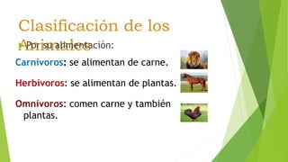 Clasificación de los
Animales Por su alimentación:
Carnívoros: se alimentan de carne.
Herbívoros: se alimentan de plantas.
Omnívoros: comen carne y también
plantas.
 