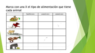 Marca con una X el tipo de alimentación que tiene
cada animal
 