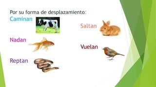 Por su forma de desplazamiento:
Caminan
Saltan
Nadan
Vuelan
Reptan
 
