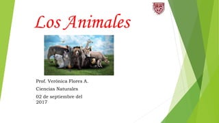 Los Animales
Prof. Verónica Flores A.
Ciencias Naturales
02 de septiembre del
2017
 