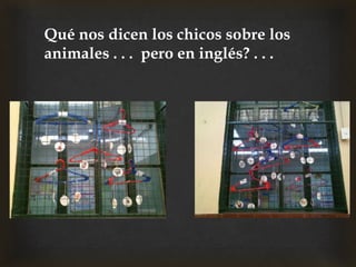 Qué nos dicen los chicos sobre los
animales . . . pero en inglés? . . .
 