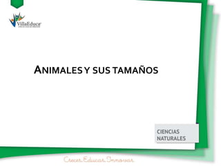 ANIMALESY SUS TAMAÑOS
 