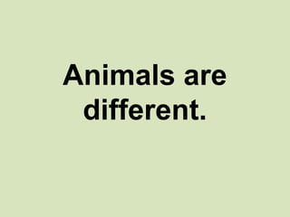 Animals are
different.

 