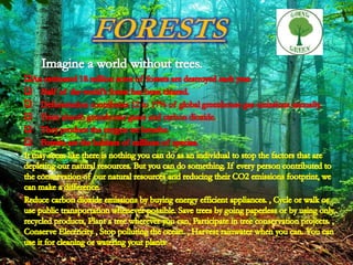 FOREST CONSERVATION (ANIMATED)- PPT | PPTX