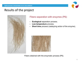 Aplicaciones industriales de la biocatálisis
Results of the project
11
Fibers separation with enzymes (P6):
– Ecological separation process.
– Low temperature process.
– Short time process (catalyzing action of the enzyme).
Fibers obtained with the enzymatic process (P6).
 