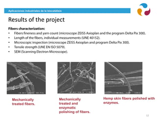 Aplicaciones industriales de la biocatálisis
Results of the project
12
•
•
•
•
•
Mechanically
treated and
enzymatic
polishing of fibers.
Mechanically
treated fibers.
Hemp skin fibers polished with
enzymes.
 